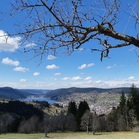 Studio Des Gouttridos Apartment Gérardmer Екстериор снимка