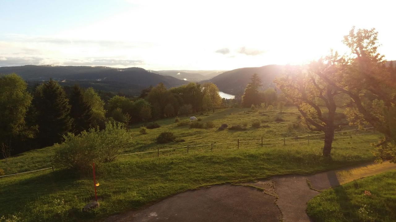 Studio Des Gouttridos Apartment Gérardmer Екстериор снимка