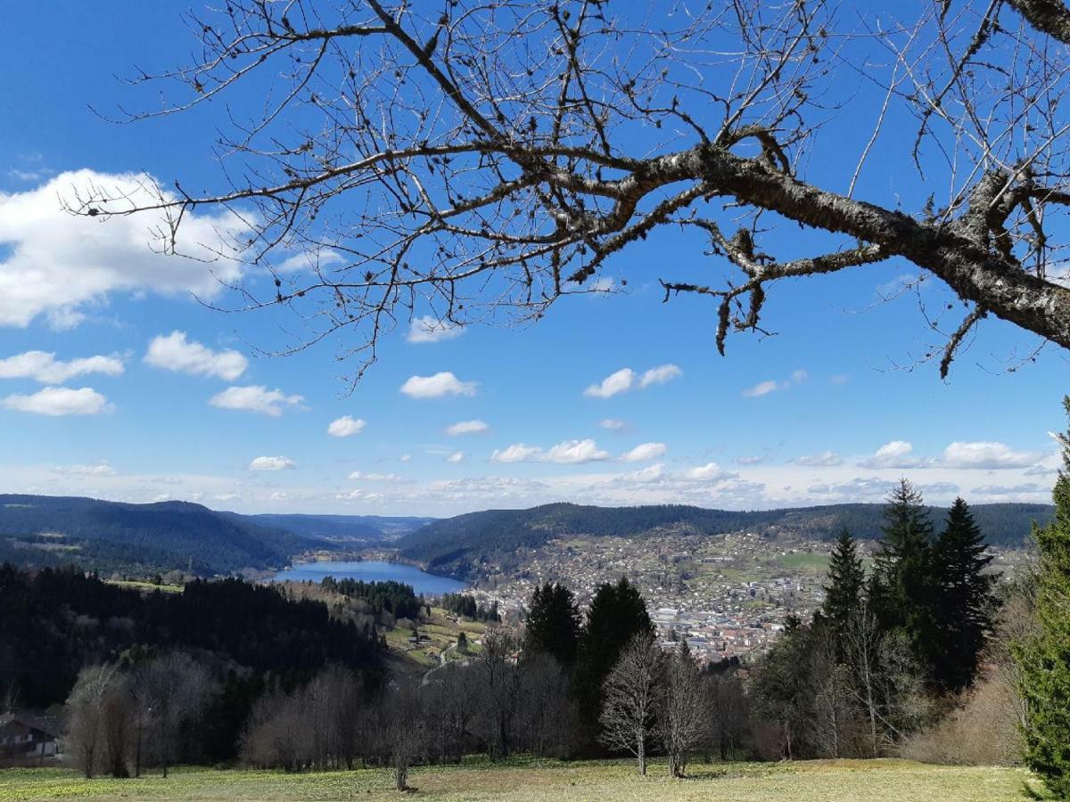 Studio Des Gouttridos Apartment Gérardmer Екстериор снимка