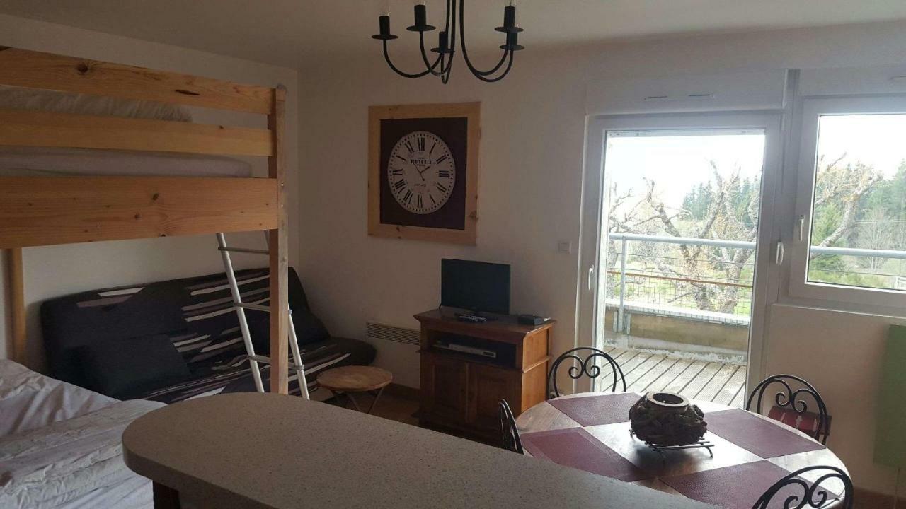 Studio Des Gouttridos Apartment Gérardmer Екстериор снимка