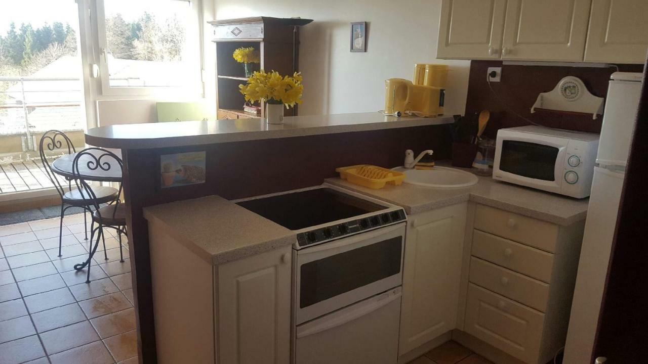 Studio Des Gouttridos Apartment Gérardmer Екстериор снимка
